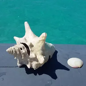 https://tenerife-with-impressive-pool-315.in-canary-islands.com